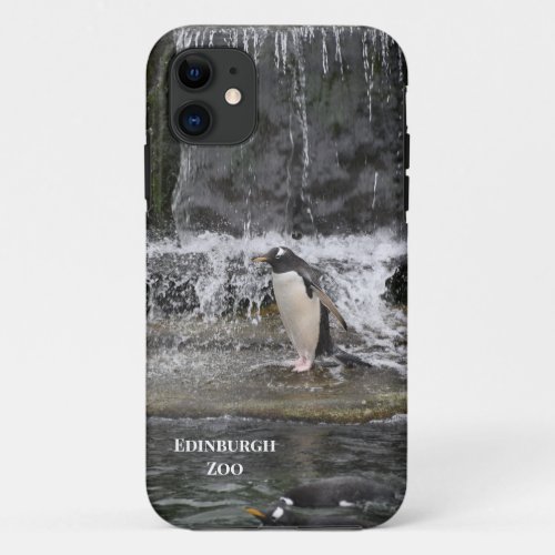 Gentoo Penguin  Friends Edinburgh Zoo Scotland iPhone 11 Case