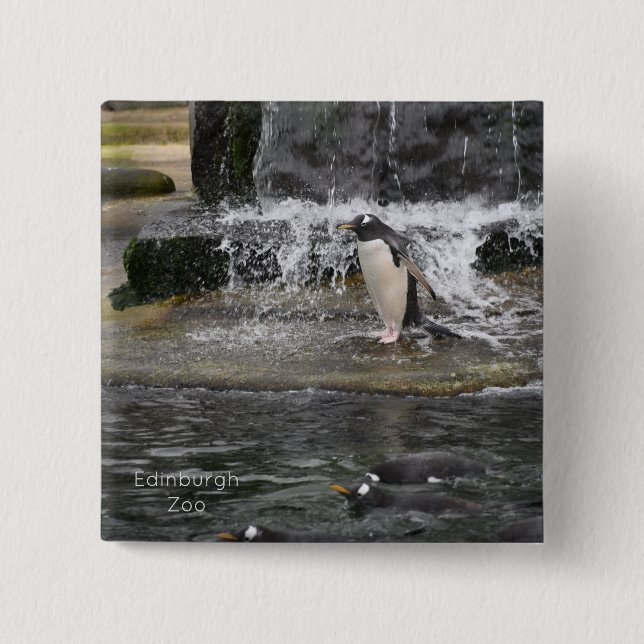Gentoo Penguin & Friends Edinburgh Zoo Scotland Po Button (Front)