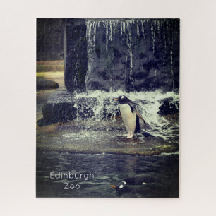 Gentoo Penguin & Friends Edinburgh Zoo Scotland Po Jigsaw Puzzle