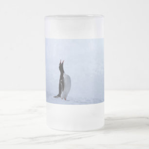 Gentoo penguin frosted glass beer mug