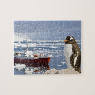 Gentoo Penguin Jigsaw Puzzle