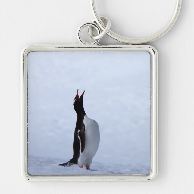 Gentoo penguin keychain (Front)