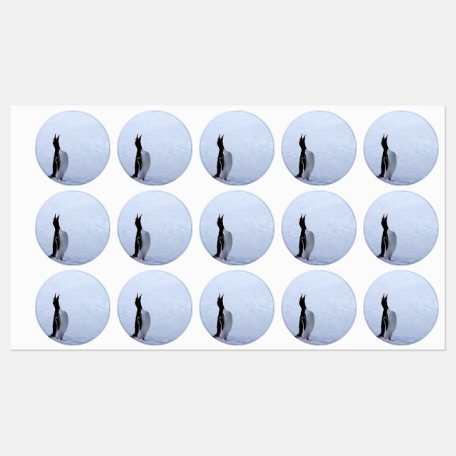 Gentoo penguin labels (Sheet)