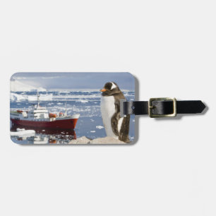 Gentoo Penguin Luggage Tag