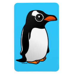 Cute Gentoo Penguin 4