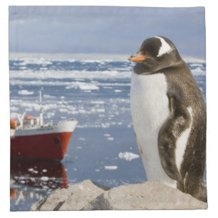 Gentoo Penguin Napkin