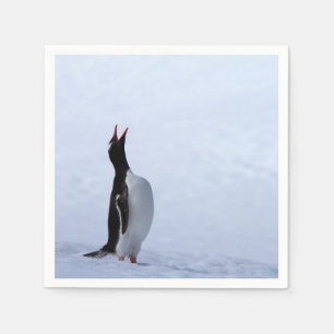 Gentoo penguin napkins
