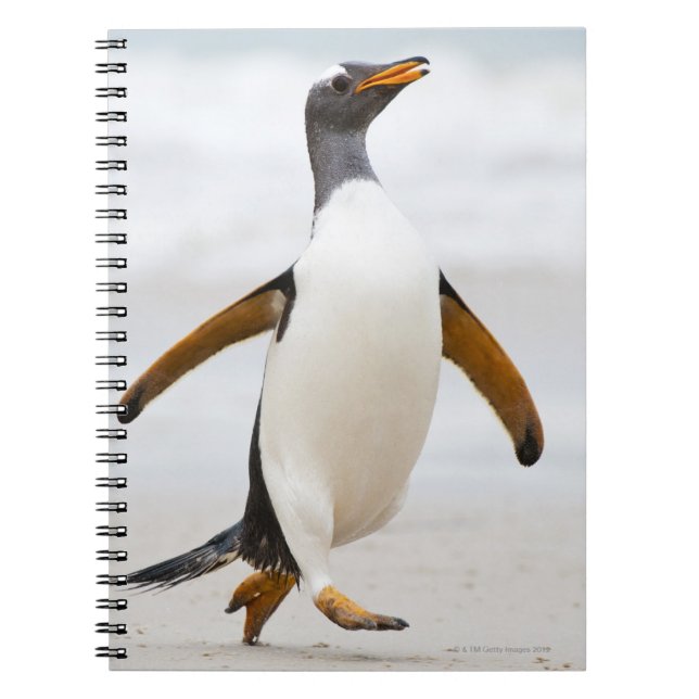 Gentoo Penguin Notebook (Front)