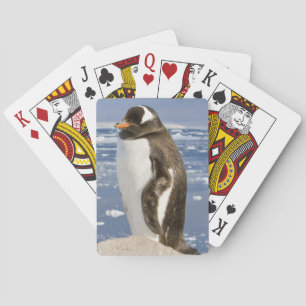 Gentoo Penguin Poker Cards