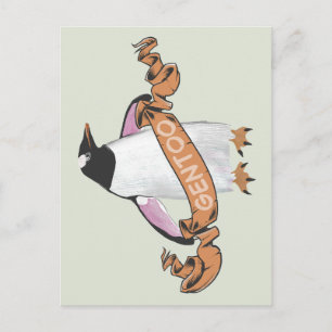 Gentoo penguin postcard
