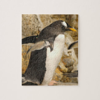 Gentoo Penguin Jigsaw Puzzles