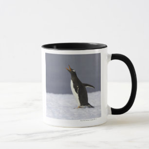 Gentoo penguin (Pygoscelis papua) adult bird Mug
