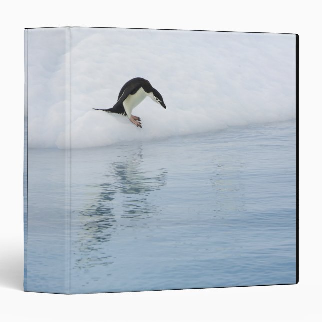 Gentoo penguin (Pygoscelis papua) Binder (Front/Spine)