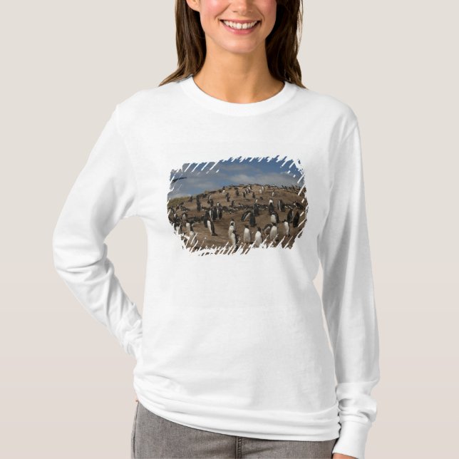 Gentoo Penguin (Pygoscelis papua) colony on West T-Shirt (Front)