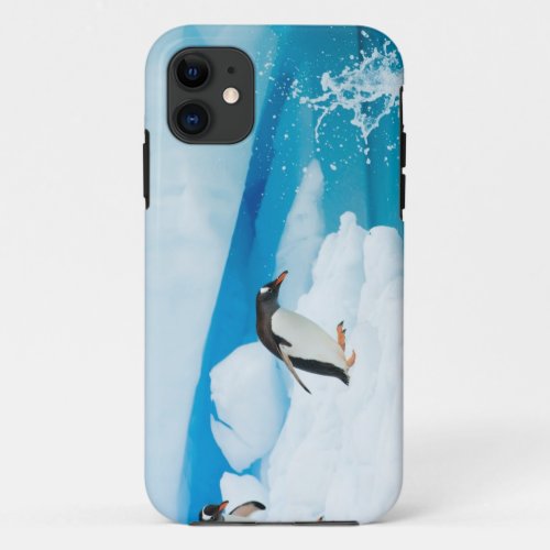 gentoo penguin Pygoscelis Papua jumping off an iPhone 11 Case