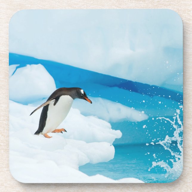 gentoo penguin, Pygoscelis Papua, jumping off Beverage Coaster (Front)
