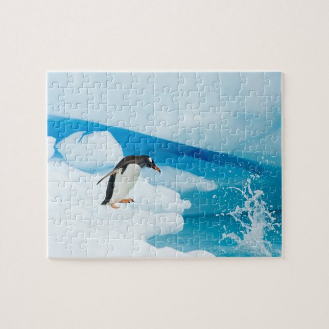 gentoo penguin, Pygoscelis Papua, jumping off Jigsaw Puzzle (Horizontal)