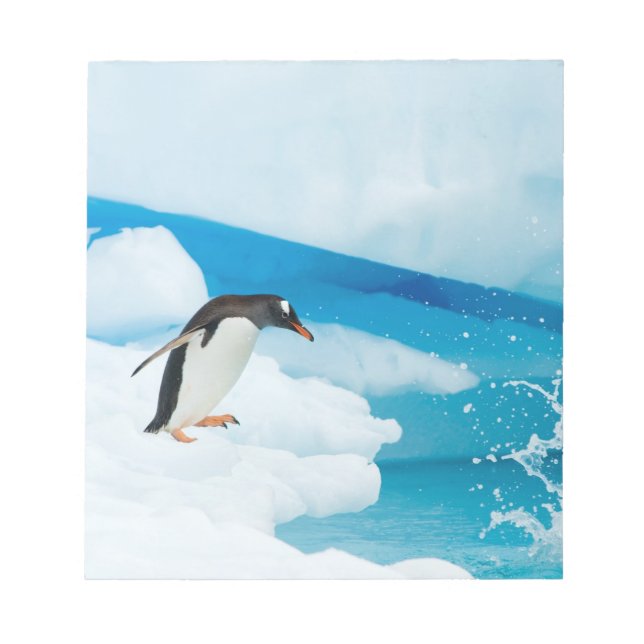 gentoo penguin, Pygoscelis Papua, jumping off Notepad (Front)