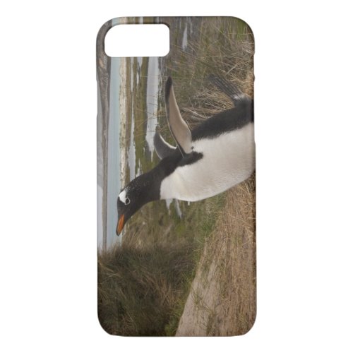 Gentoo Penguin Pygoscelis papua on a nest iPhone 87 Case