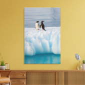 gentoo penguin, Pygoscelis Papua, on glacial ice Canvas Print (Insitu(LivingRoom))