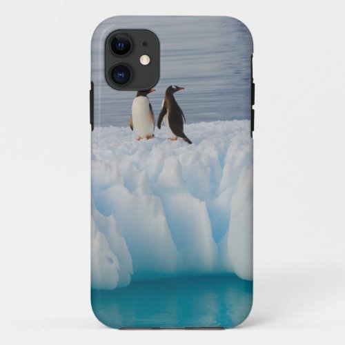gentoo penguin Pygoscelis Papua on glacial ice iPhone 11 Case
