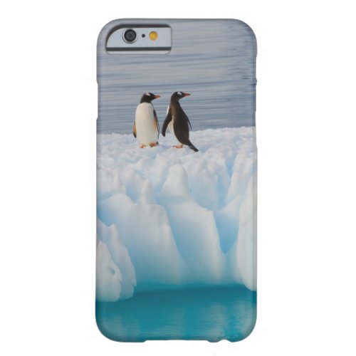 gentoo penguin Pygoscelis Papua on glacial ice Barely There iPhone 6 Case