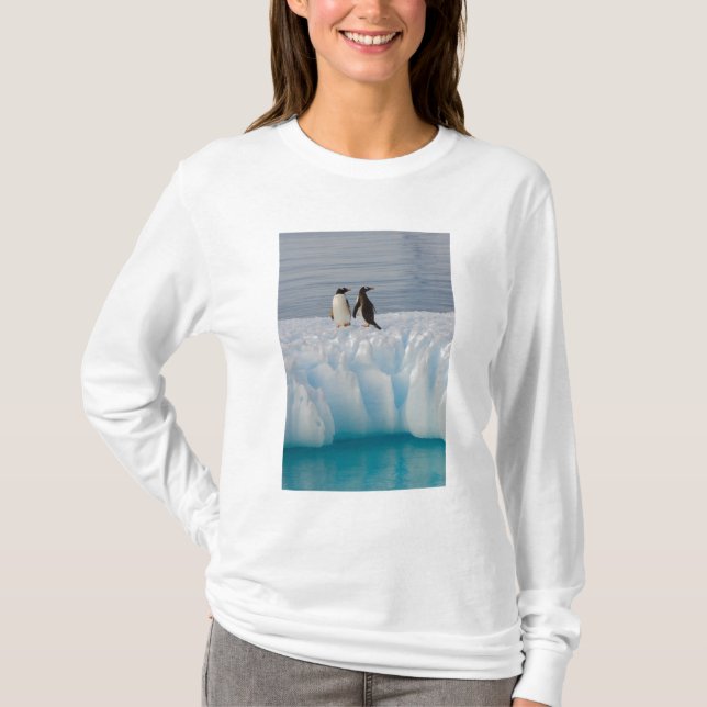 gentoo penguin, Pygoscelis Papua, on glacial ice T-Shirt (Front)