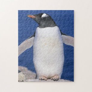 Gentoo Penguin Pygoscelis papua) Port Jigsaw Puzzle