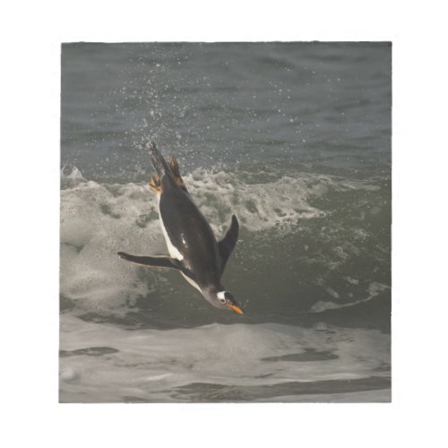 Gentoo Penguin Pygoscelis papua Sea Lion Notepad