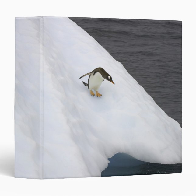 Gentoo penguin Pygoscelis papua) standing Binder (Front/Spine)