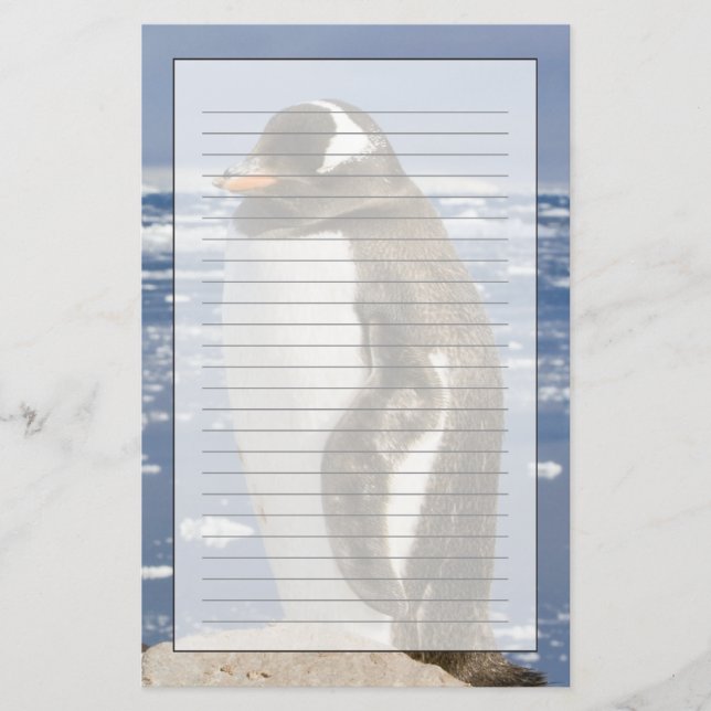 Gentoo Penguin Stationery (Front)