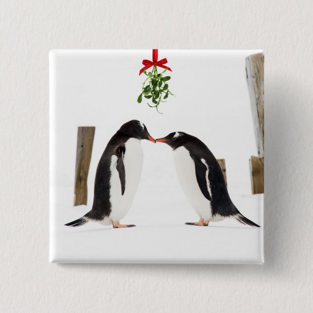 Gentoo Penguins Kissing - button (Front)