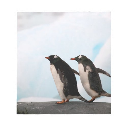 Gentoo penguins on rocky shoreline with backdrop 2 notepad