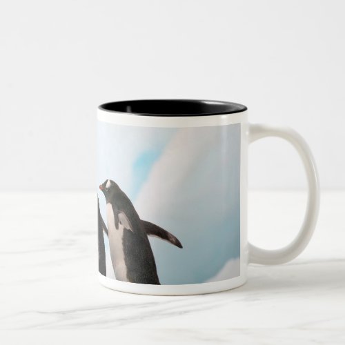 Gentoo penguins on rocky shoreline with backdrop 2 Two_Tone coffee mug