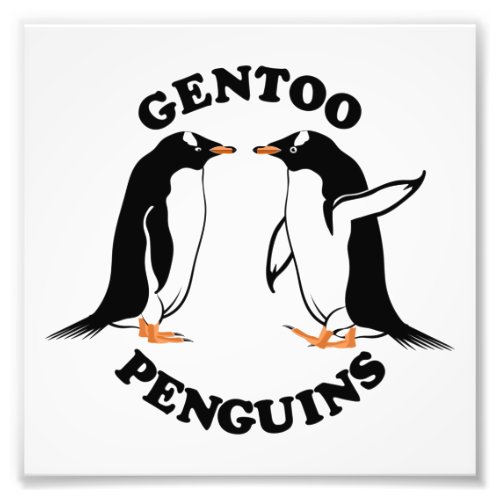 Gentoo Penguins Photo Print