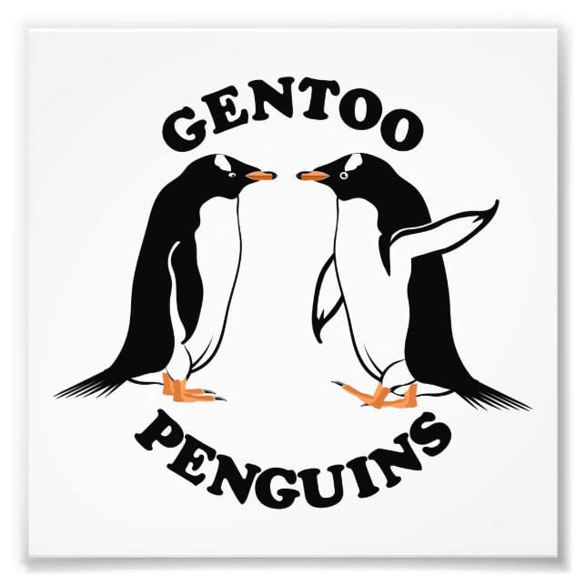 Gentoo Penguins Photo Print (Front)