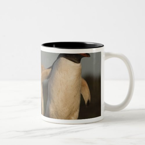 Gentoo Penguins Pygoscelis papua on Sea Lion Two_Tone Coffee Mug