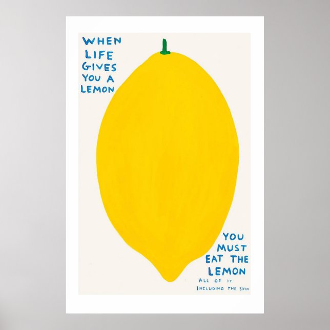 Genuine David Shrigley poster: When Life Gives You Poster (Front)
