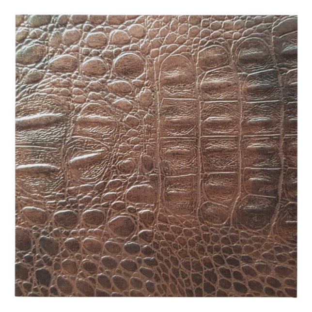 Genuine leather texture backgroundr close-up, embo faux canvas print (Front)