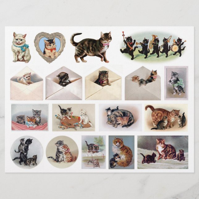 Genuine (Not AI) Collection of Cats by H. Maguire (Front)