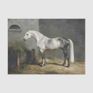 Genuine (Not AI) Dapple Gray Horse Painting Tissue Paper