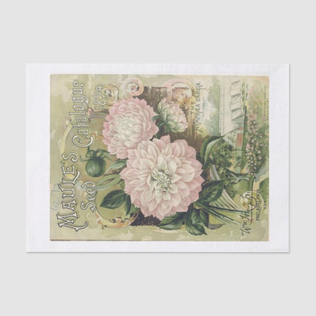 Genuine (not AI) Seed Catalog Cover Pink Flowers Tissue Paper (Front)