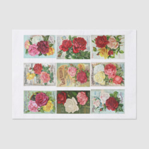 Genuine (not AI) Vintage Seed Catalog Covers Tissue Paper