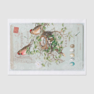 Genuine (not AI) Vintage Victorian Birds Collage Tissue Paper