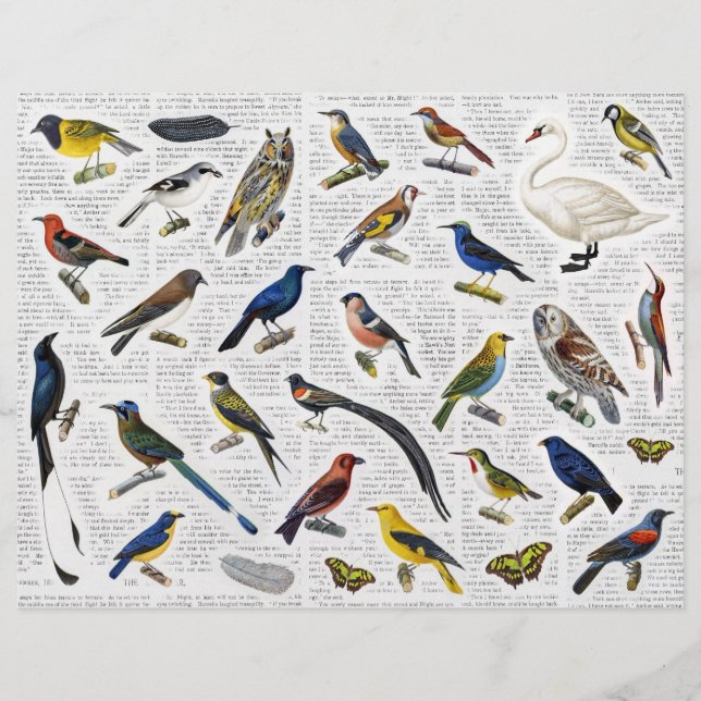 Genuine Vintage (no AI) Birds on Newsprint Backgrd (Front)