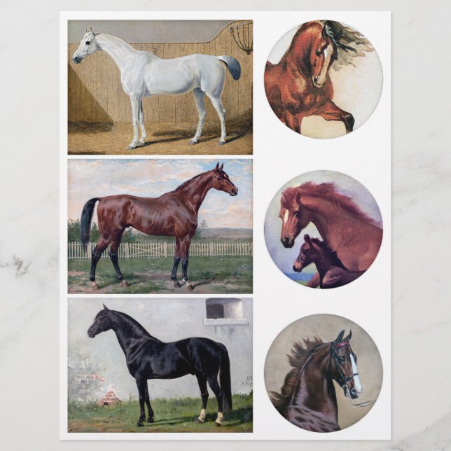 Genuine Vintage (not AI) Horse Paintings (Front)