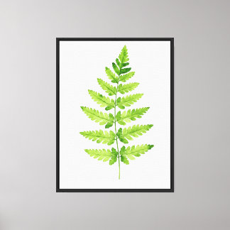 Genus Dryopteris Canvas Print