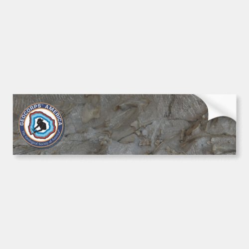 GeoCorps America _ Paleontology Bumper Sticker