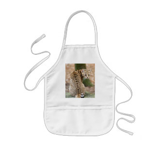 geoffroy-cat-004 kids' apron