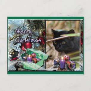 Geoffroy Cat Christmas Postcard